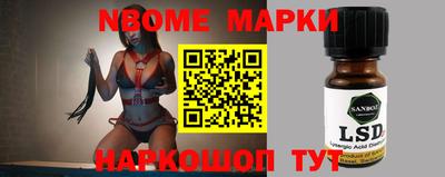 стаф Новокубанск