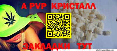 стаф Новокубанск