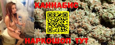стаф Новокубанск