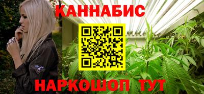 стаф Новокубанск