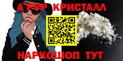 стаф Новокубанск