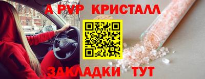стаф Новокубанск